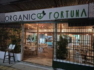  at Organico Fortuna in La Fortuna