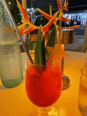 House kombucha   at Organico Fortuna in La Fortuna