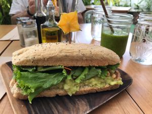 Vulcano Burger  at Organico Fortuna in La Fortuna