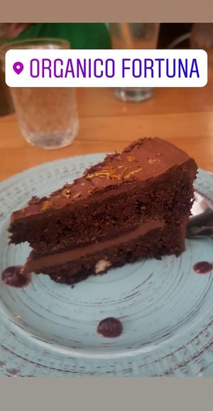 Raw chocolate cake to die for at Organico Fortuna in La Fortuna