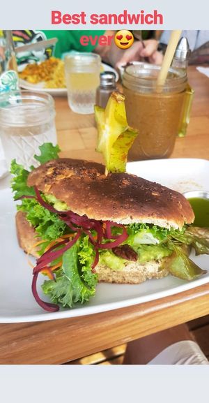 Green volcano, my favourite sandwich of all time at Organico Fortuna in La Fortuna