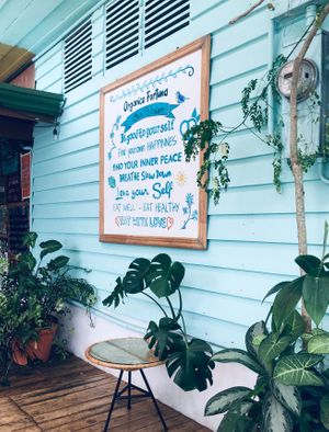 Message at Organico Fortuna in La Fortuna