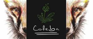 Logo at Cofeba in Graz