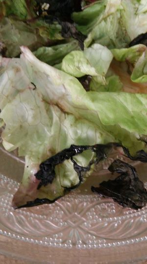 Half rotten lettuce in the Greek salad at La Libelula Vegan Cafe in Fuengirola