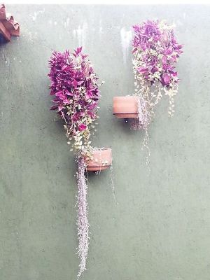 Beautiful wall decorations 💜 at Recaudo in San Andres Cholula