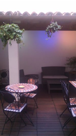 Giardinetto interno 2 at La Libellula Ristorante Bistrot in Udine