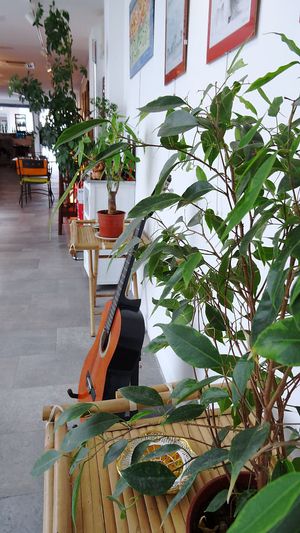 the location in via vittorio veneto 28/a Udine, La Libellula at La Libellula Ristorante Bistrot in Udine