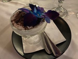 Tiramisu  #Veganuary at Full Bloom in Miami Beach