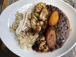 Cuban bowl of the day   at Full Bloom in Miami Beach