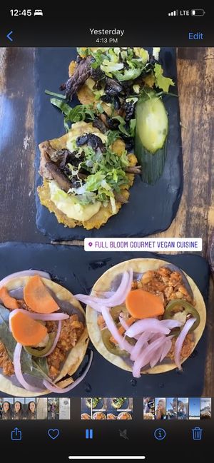 These are the appetizers tostadas & placatones  at Full Bloom in Miami Beach