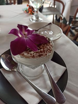 Tiramisu at Full Bloom in Miami Beach