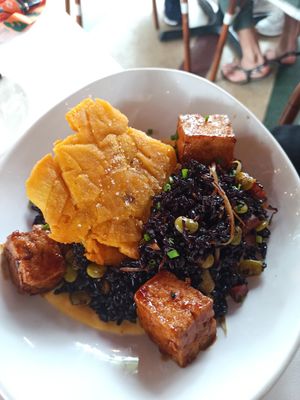  at Full Bloom in Miami Beach