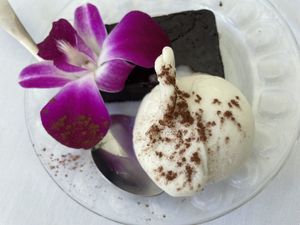 Brownie   at Full Bloom in Miami Beach