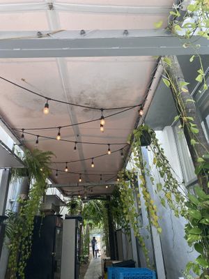  #Veganuary at Full Bloom in Miami Beach