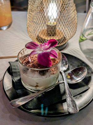 Tiramisu at Full Bloom in Miami Beach