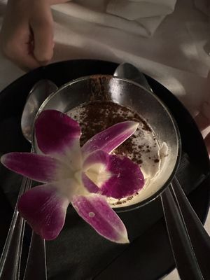Tiramisu   at Full Bloom in Miami Beach