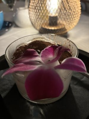   at Full Bloom in Miami Beach