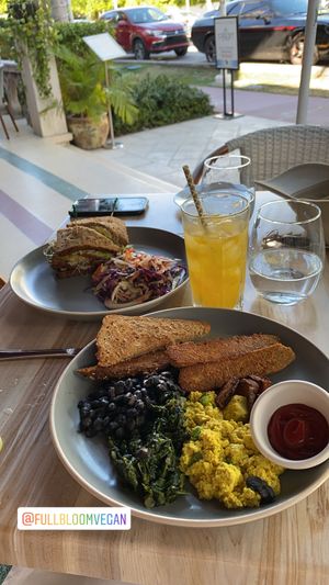 Lunch: tuna club and breakfast sampler at Full Bloom in Miami Beach