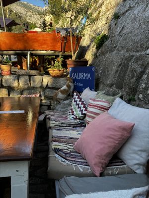 comfy seats - many cats ❤️  at Kaldrma in Bar