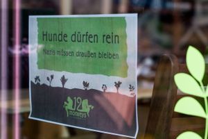 Hunde dürfen rein, Nazis müssen draußen bleiben! at Twelve Monkeys Vegankrams in Hamburg