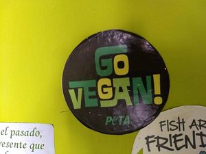 💜 at Hare Krishna Buffete in Monterrey