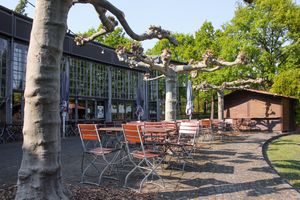 Terasse at Ronja in Muelheim