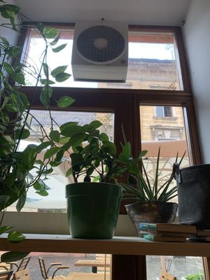   at BIOFresh in Timisoara