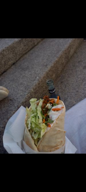 Gyros wrap at Bi-Bu Vegan Mobil Bonn in Bonn