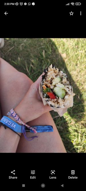 Duck maki burrito at Happy Maki in Brighton