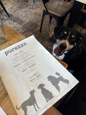   at Purezza in Brighton
