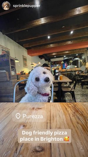 Sprinkle joining me in Purezza  at Purezza in Brighton