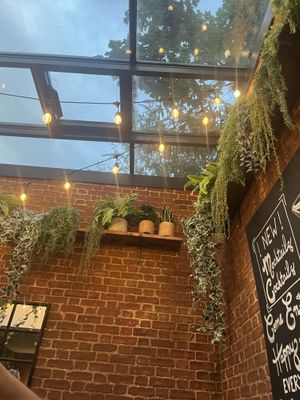   at Purezza in Brighton