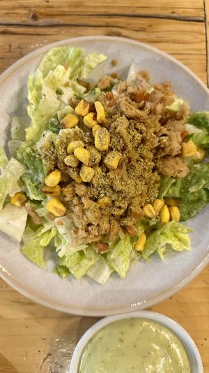 Caesar   at Purezza in Brighton