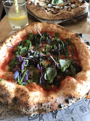 pesto manifesto at Purezza in Brighton