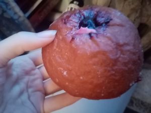 Pączek at Pomylone Gary in Lublin