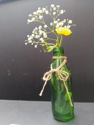  at Veggic in Plovdiv