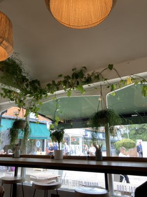 Inside   at Chia Naturally Healthy in Hitchin