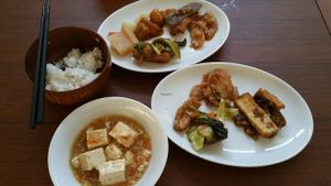 yummy oriental vegan food without 5 pungent roots at Kaemon Asakusa in Tokyo