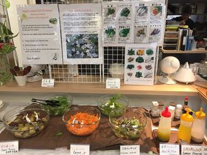 Salad bar at Kaemon Asakusa in Tokyo