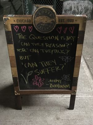 Toad Style - Brooklyn - Photo by ecoRDN - ecoRDN.com
 at Toad Style in Brooklyn