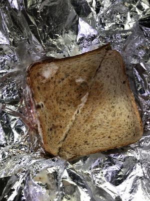 Grilled cheese at Toad Style in Brooklyn