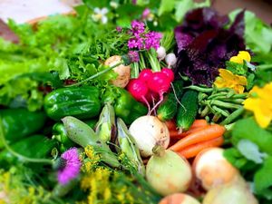 My farm at Hibi-No-Kate in Yonago