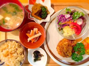 Hamburger steak for vegetarian set at Hibi-No-Kate in Yonago