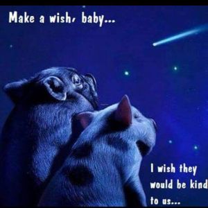 Vegan Hippo  at Vegan Hippo in London