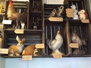 Animals at Vegan Hippo at Vegan Hippo in London