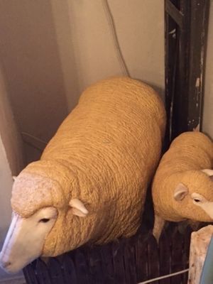 Vegan Hippo at Vegan Hippo in London