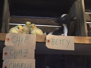 Vegan Hippo at Vegan Hippo in London