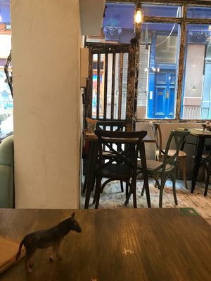 Interior @ Vegan Hippo, London at Vegan Hippo in London