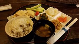 Tofu steak set at Sakura Saku in Himeji