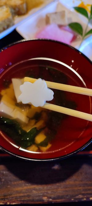  at Sakura Saku in Himeji